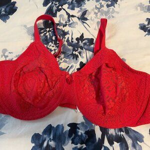 WACOAL HALO LACE BRA - Red 38DD